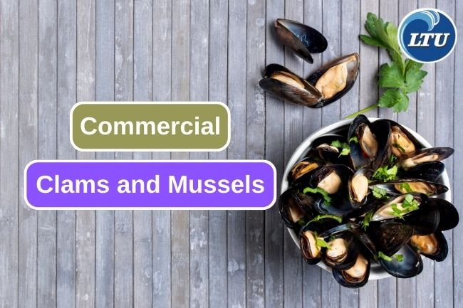 Exploring Commonly Consumed Clams and Mussels